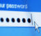 login password A password on a computer screen