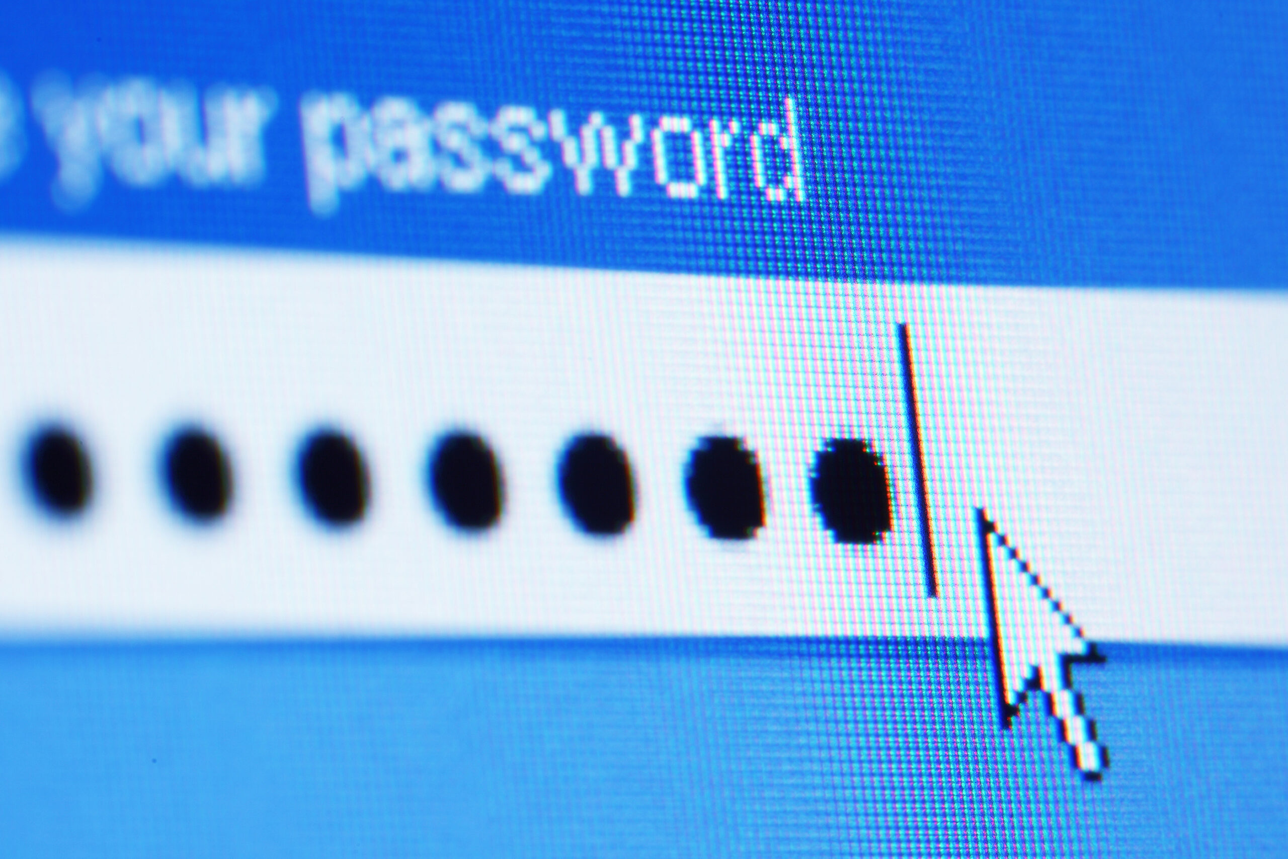 A password on a computer screen